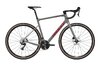 Ridley Grifn GRX600 2x12 GRC02As(S)